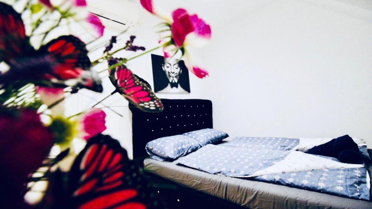 Hostel 6 Min To Amusement Park - Economy In Shared Wenen